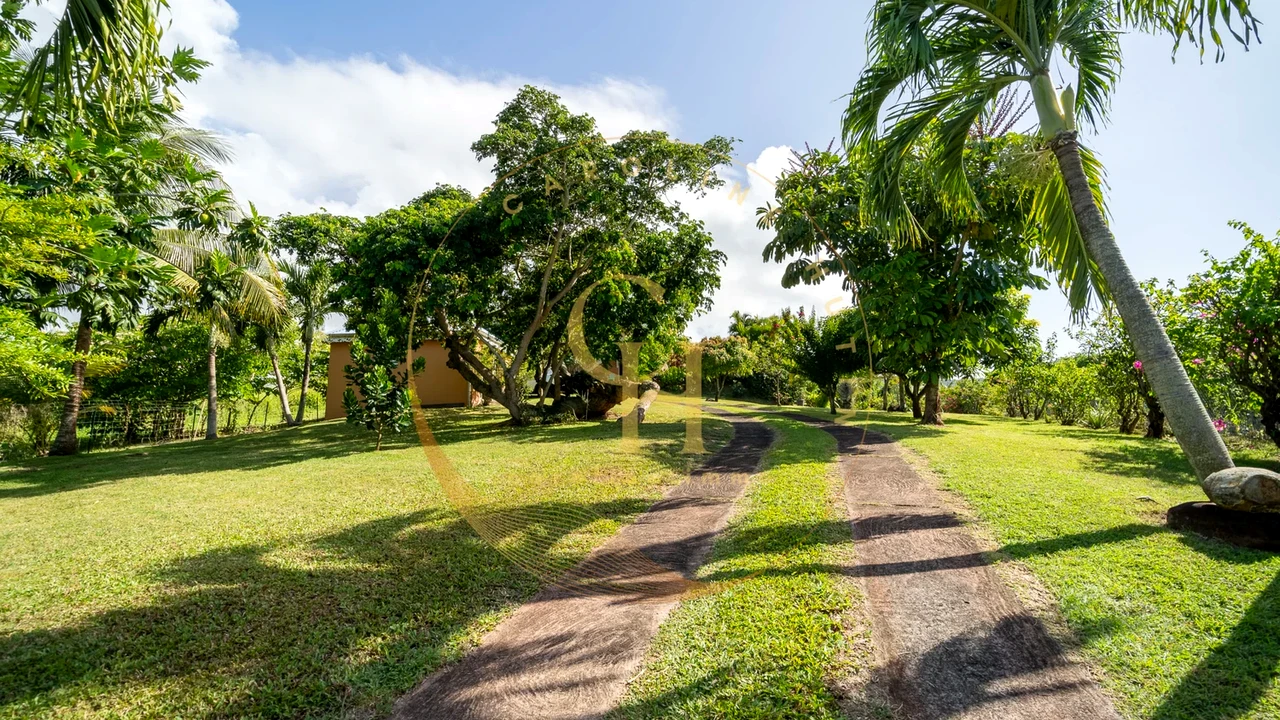 Investir aux Caraïbes - Propriété de prestige en Guadeloupe