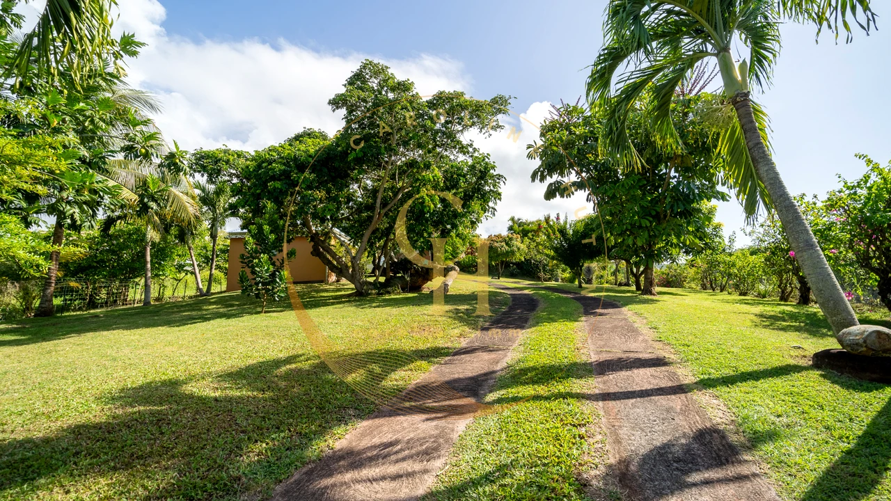 Investissement immobilier réussi en Guadeloupe