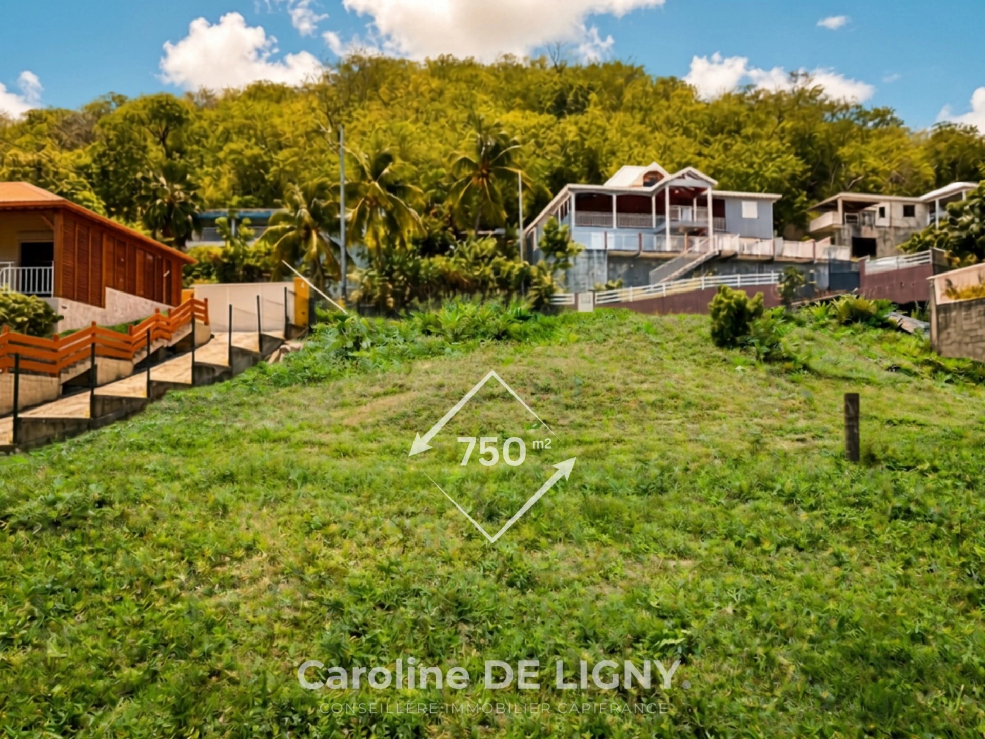 Tropical landscape and nature view